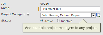 Multiple Project Managers