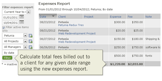 Calculate expenses and fees using online project management expenses report
