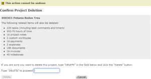 Project deletion confirmation