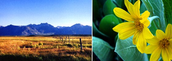 Eastern Sierra Land Trust Partnership Story