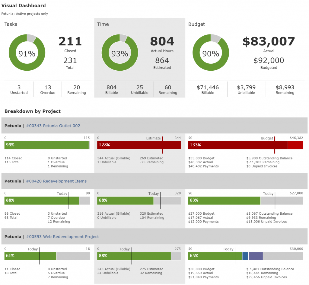 Introducing the Visual Project Dashboard | Intervals Blog